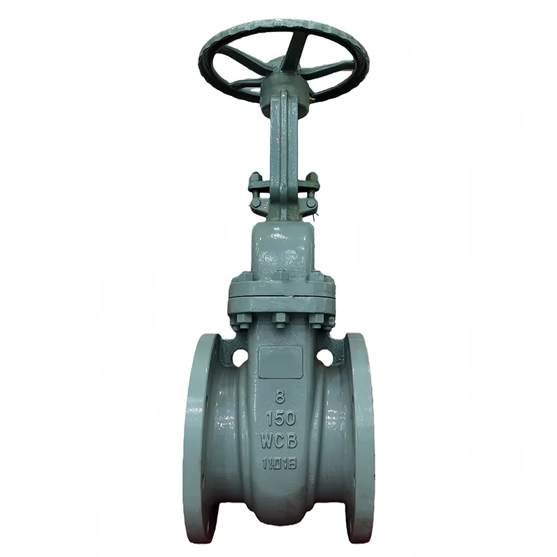 Falf Gate flange ANSI Dur Carbon
